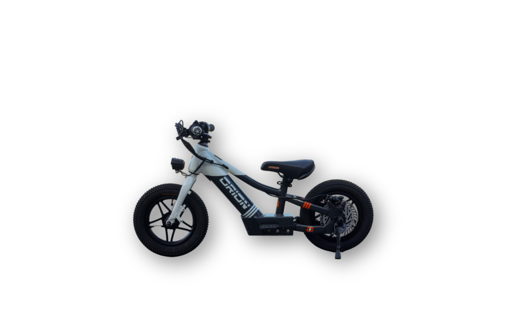 $799 – 2025 ORION e12x